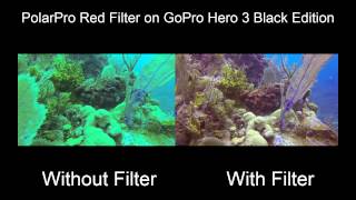 PolarPro Cube 3 Red Filter Review for GoPro Hero3