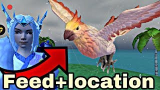 HOW TO TAME MOTTLED PARROT|| LOCATION+ FEED|| UTOPIA ORIGINS