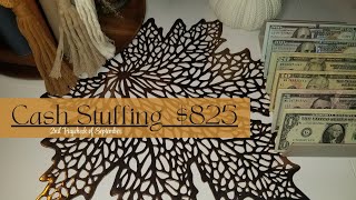 ASMR COUNTING + CASH STUFFING $715 + CASH ENVELOPES + SINKING FUNDS August 2024