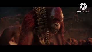 Godzilla x Kong meme compilation #2