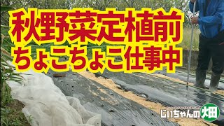 秋野菜定植その前にうねの長さと栽培本数を確認して調整するための植穴開け。10/16