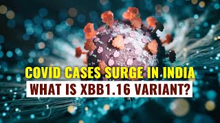 Covid Cases In India Rise Again | What Is XBB1.16 Variant?