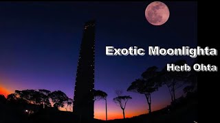 [BGM] Exotic Moonlight / Herb Ohta