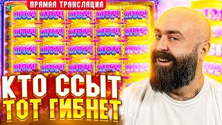 Хозяин ТАЩИТ х 100500 в прямом эфире! заносы недели betkat