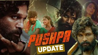 Pushpa 2 The Rule Full Movie Cost| Allu Arjun | Rashmika | Reviews & Facts #viralvideo