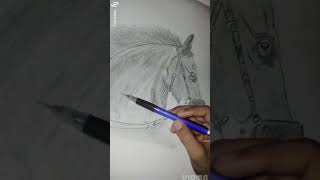 An 🐴 art work plz like share and subscribe 👍 for more videos ☺️