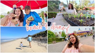 weekend vlog! beach cleanup, party planning, & Disneyland!