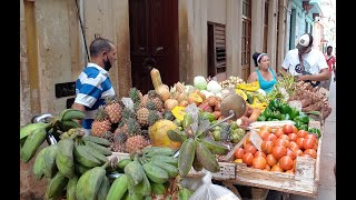 Thanksgiving in Cuba