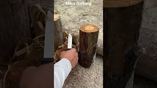 Mora Garberg + metal match + tender #bushcraft #everglades #bushcraftsurvival #bushcraftcamp