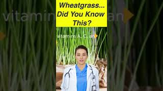 Did you know this about Wheatgrass? | Osnap Active Lifestyle