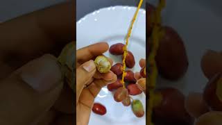 Raw Dates| ತಾಜ ಖರ್ಜೂರ | Dubai fresh Dates