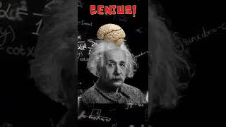 Albert Einstein Fake or Genius