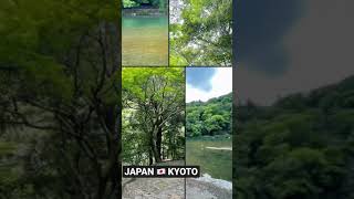 Япония/знаменитый японский бамбуковый лес в Киото #shorts #Shorts #japan #travelinjapan #киото