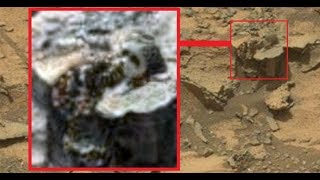 Ancient Anunnaki statue found on Mars? NASA Rover snaps curious image