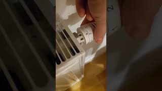 Thumping noise in my radiator - gets low after I do this #radiator #heatransfer #heatingsystem