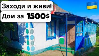 🇺🇦 Заходи и живи! Дом в селе за 1500$ Продажа недвижимости за копейки! Всё есть Уютное тихое село!