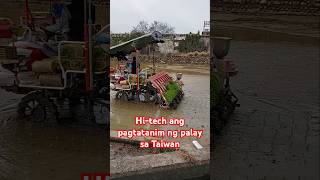 Hi-tech ang pagtatanim ng palay sa Taiwan #hectortvvlogs #shorts #shortsviral #shortsvideo