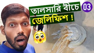 Digha tour | Talsari Sea Beach | Jellyfish at Talsari | Digha tourist spot | দীঘা ভ্রমণ | Vlog_3