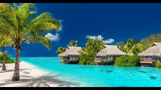 Fiji Vacation Travel Guide