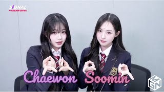 [ENG SUB] tripleS SIGNAL LIVE 241016 (Soomin, Chaewon) 트리플에스 Hanlim Girls Mukbang