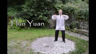 Wudang 13 Standing Pillars - Shi San Zhuang