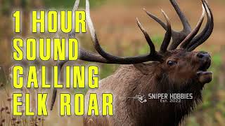 1 HOUR ELK ROAR SOUND CALLING