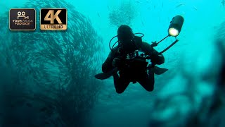 Person diving in wonderful blue sea - Royalty Free by YOUR STOCK FOOTAGE