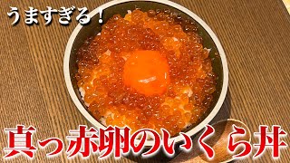 飛ぶように売れまくる真っ赤卵のいくら丼！『新宿　牛たん檸檬』マネージャーも絶賛の『アマダ東京』の真っ赤卵！飲食店におすすめです！