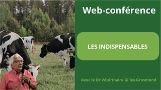 Web-conférence : Les indispensables - Gilles Grosmond