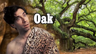 Identifying Amazing Oak Trees for Fun and Profit!