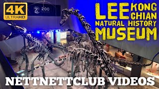 Lee Kong Chian Natural History Museum 4K