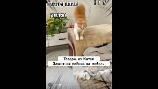 Товары из Китая) #идеядлябизнеса #заказыизкитая #1688 #оптизкитая #китай