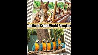 🦍Bangkok SAFARI WORD & MARINE PARK#travelvlog #travel..! 🐳🐬