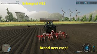 Land prep! Planting CARROTS! | ERLENGRAT #82 | Alpine Dairy Farm | Farming Simulator 2022