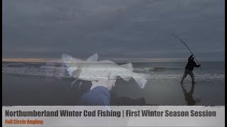 Excellent Northumberland Winter Cod Session! | Start of the  Winter Season Cod Series | Episode 1