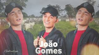 João Gomes - Meu Cafofo (Gabrielzyn.) com grave