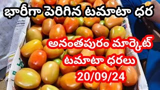 20 September 2024|| పెరిగిన అనంతపురం టమాటా మార్కెట్ ధరలు || tamatar rate Ananthapuram market