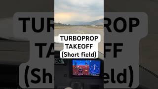 Short Field Takeoff in Turboprop | Pilots and Aviation #pilotlife #takeoff