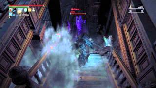 Bloodborne Diary 13: Vileblood Kill