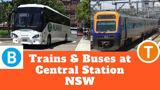 Adam's Trains Vlogs: Trains & Buses at Central Station NSW