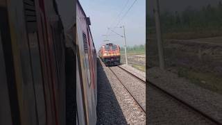 Why there are two loco pilots in a train #amazingfacts #railfacts #indianrailways #ytshorts