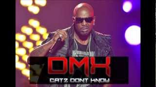 Dmx - Catz Don't Know