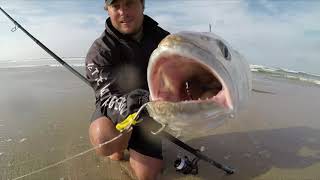 Fishing for Cobs(Mulloway ) of the beach in the Eastern Cape.