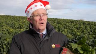 NI vegetable farmers are getting ready for Christmas