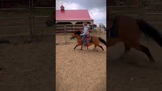 Meety jumping! #horse #myfavoritehorse #horseenthusiast #equestrian #ilovemyhorse #horsefan #rodeo