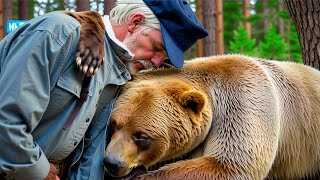 Man Cared for Injured Pregnant Bear All Winter. 1-yr Later He Heard Strange Sound & Burst into Tears