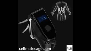 Cagink Pro Cellmate 3 Qiuitoy Cellular Remote Chastity Lock