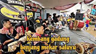 kembang gadung ‼️benjang mekar Saluyu || bajidoran di sekehonje #bajidor #benjang #mekarsaluyu