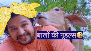 वालू को सबके बाल नूडल्स लगते है।🤣🤣#baawalechorevlogs #cowvlog #baawalechorecows #dailyvlog