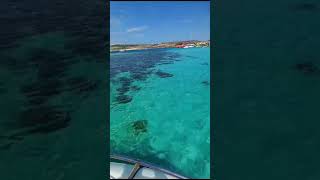 malta boat tour blue lagoon